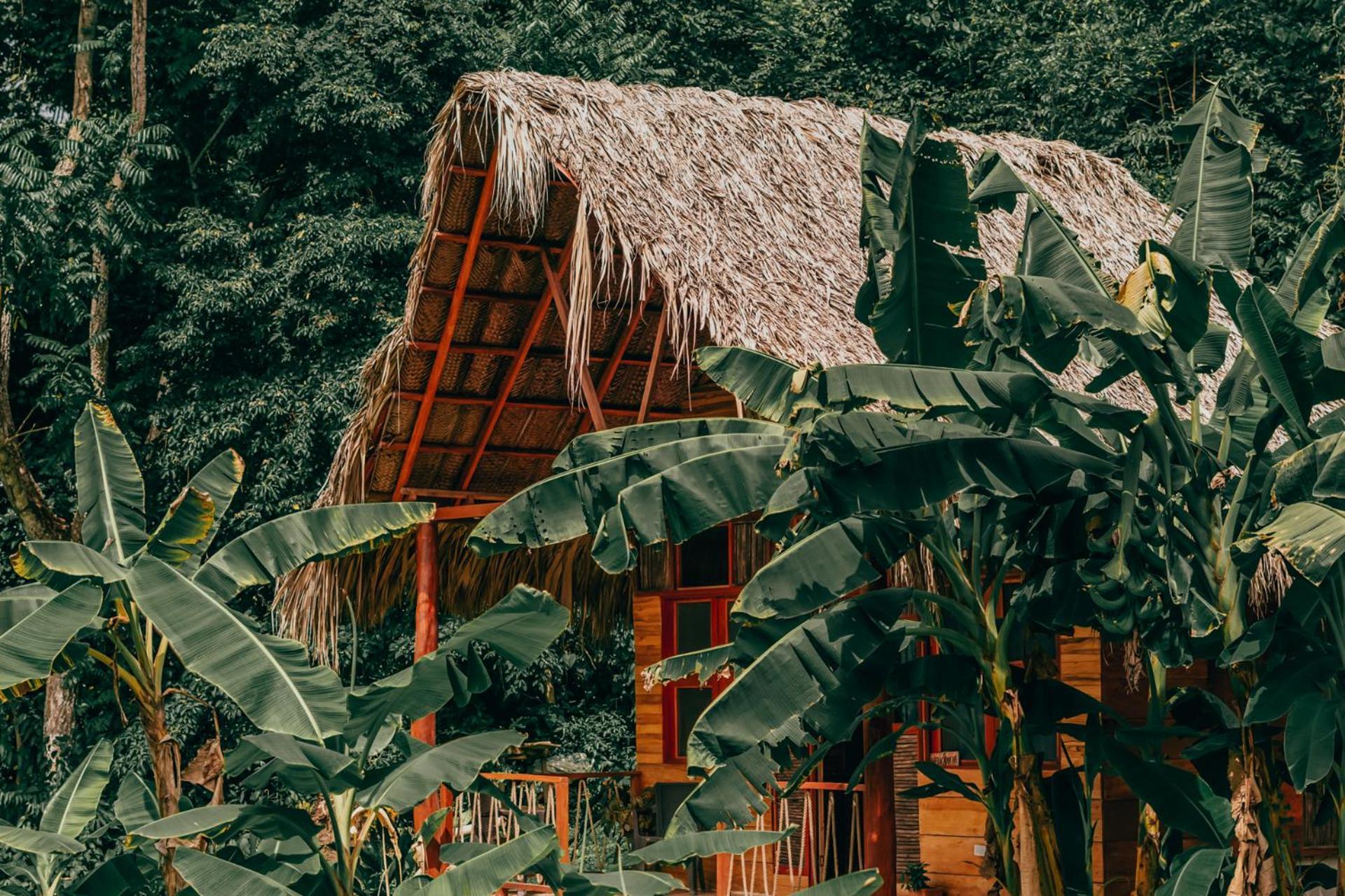 Magic Green Dentro Del Parque Tayrona เอลไซโน ภายนอก รูปภาพ