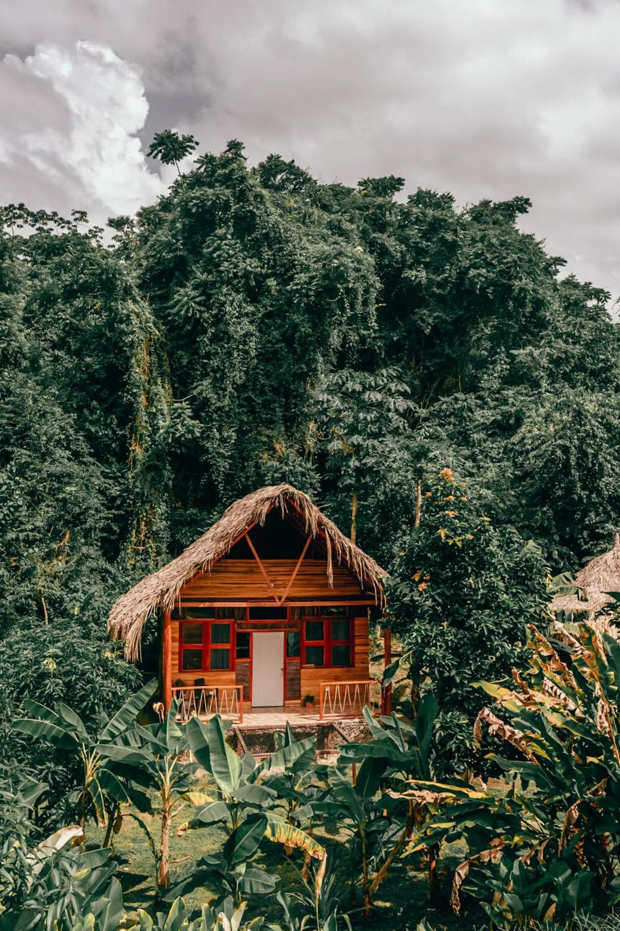 Magic Green Dentro Del Parque Tayrona เอลไซโน ภายนอก รูปภาพ
