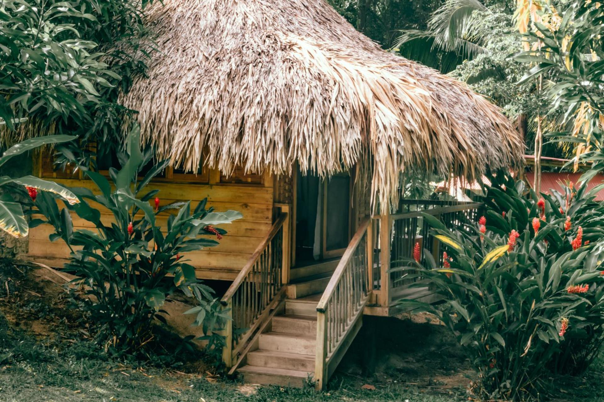 Magic Green Dentro Del Parque Tayrona เอลไซโน ภายนอก รูปภาพ