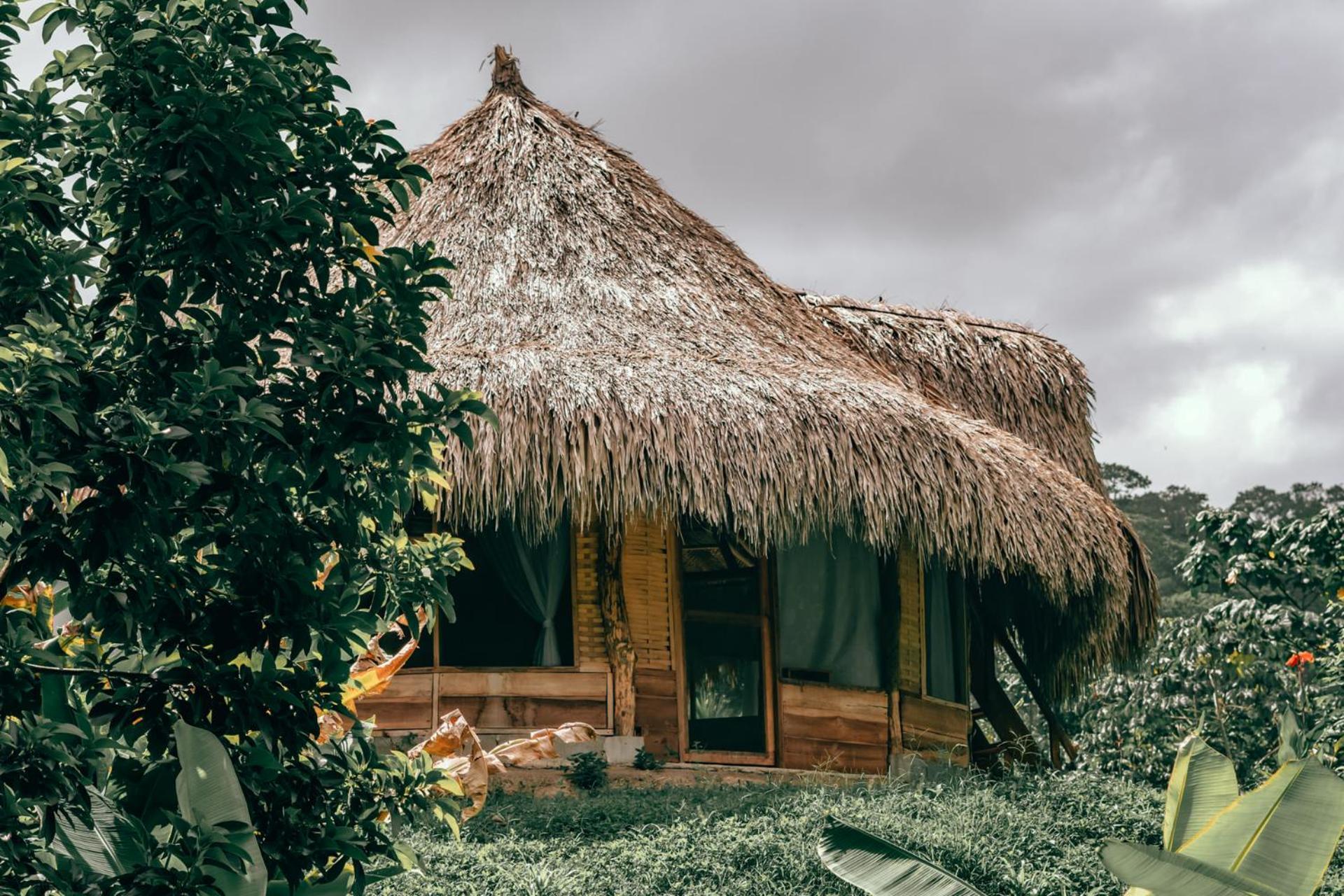 Magic Green Dentro Del Parque Tayrona เอลไซโน ภายนอก รูปภาพ