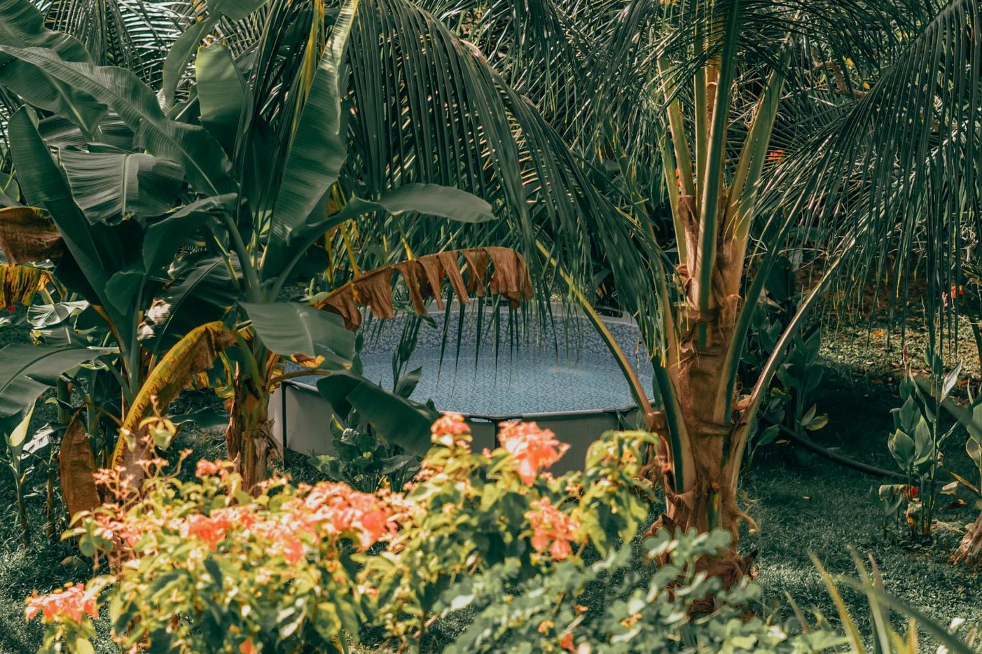 Magic Green Dentro Del Parque Tayrona เอลไซโน ภายนอก รูปภาพ