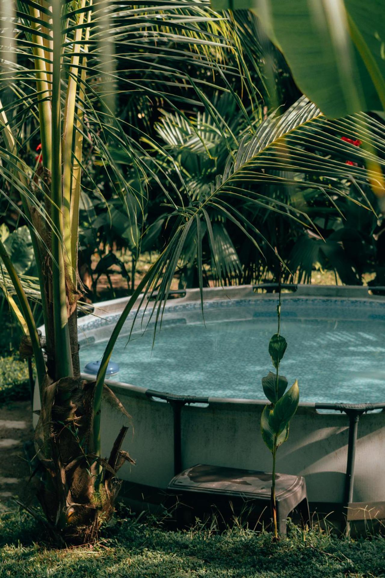 Magic Green Dentro Del Parque Tayrona เอลไซโน ภายนอก รูปภาพ