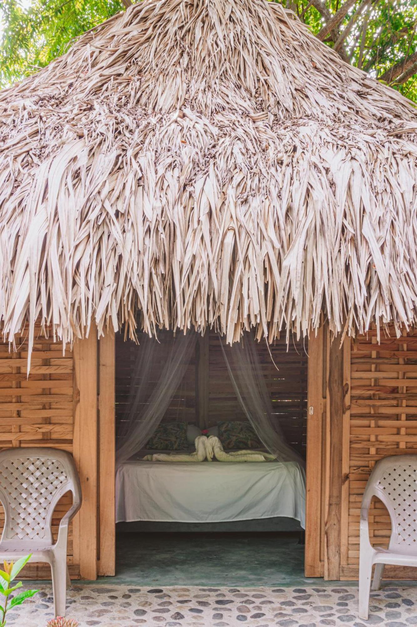 Magic Green Dentro Del Parque Tayrona เอลไซโน ภายนอก รูปภาพ